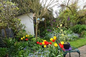 Photo 15- click for photo gallery